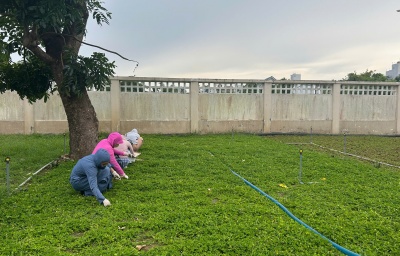 Hưởng ứng Ngày Môi trường thế giới và Tháng hành động vì Môi trường năm 2025